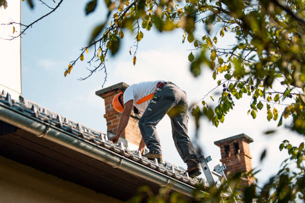 Best Flat Roof Repair Services  in Edgerton, WI